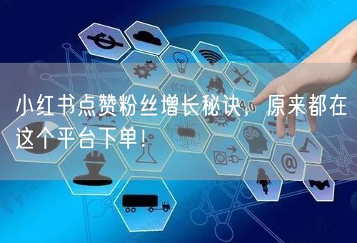 小红书点赞粉丝增长秘诀，原来都在这个平台下单！