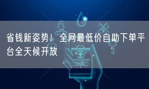 省钱新姿势!全网最低价自助下单平台全天候开放