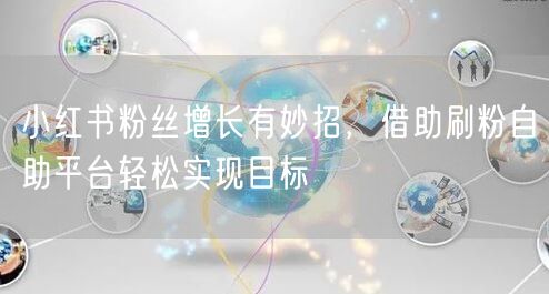 小红书粉丝增长有妙招,借助刷粉自助平台轻松实现目标