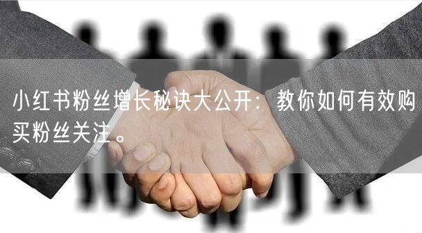 小红书粉丝增长秘诀大公开:教你如何有效购买粉丝关注。