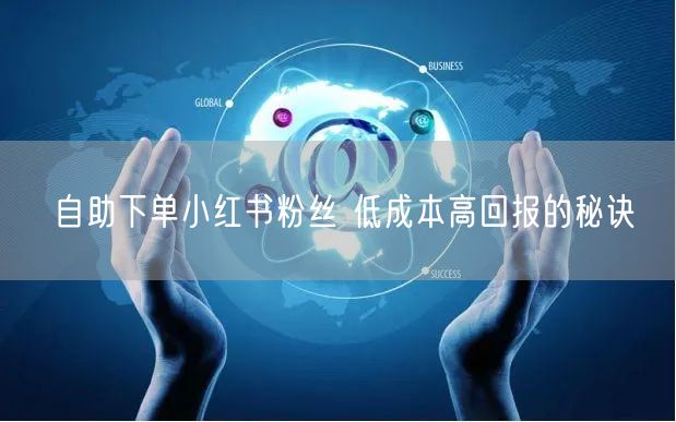 自助下单小红书粉丝 低成本高回报的秘诀