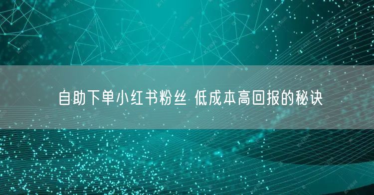 自助下单小红书粉丝 低成本高回报的秘诀
